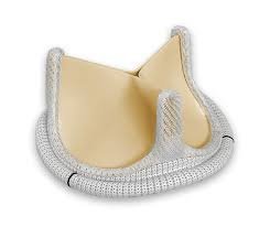 Carpentier-Edwards PERIMOUNT Magna aortic tissue valve
