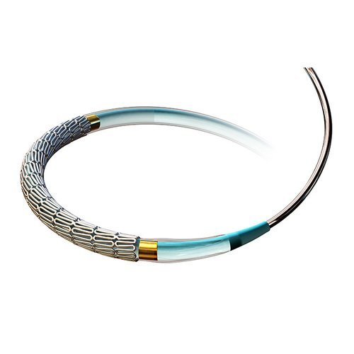 Resolute Integrity Stent